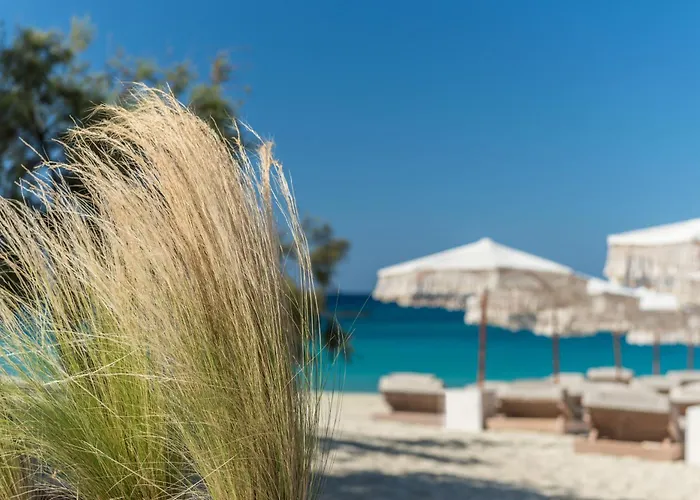 Virtu 酒店 阿吉奥斯普罗科皮奥斯