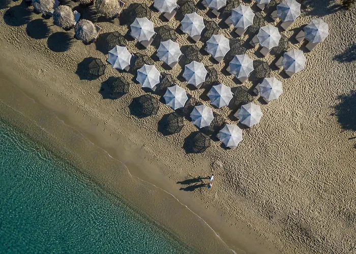 Virtu 阿吉奥斯普罗科皮奥斯