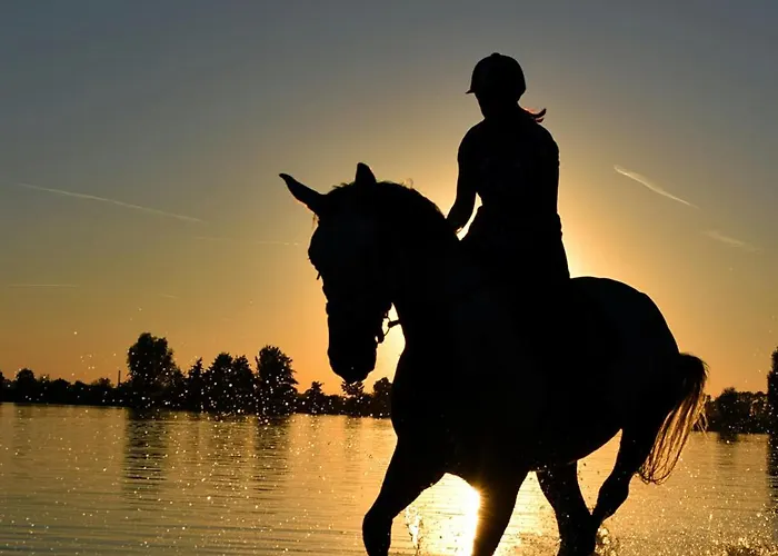 Virtu 阿吉奥斯普罗科皮奥斯