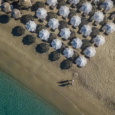 Virtu איוס פרוקופיוס